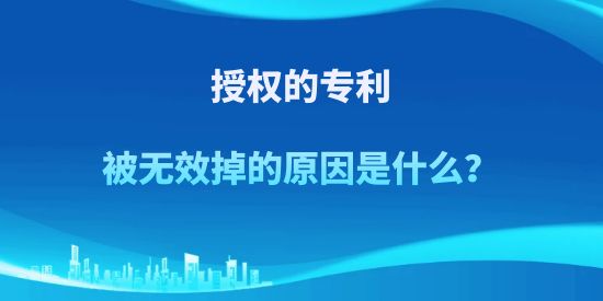 专利,专利被无效掉的原因,